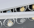 Шкатулка для часов с автоподзаводом LTG-8008-WF-D-FP