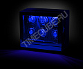 Шкатулка  с автоподзаводом WW-8203-MAB